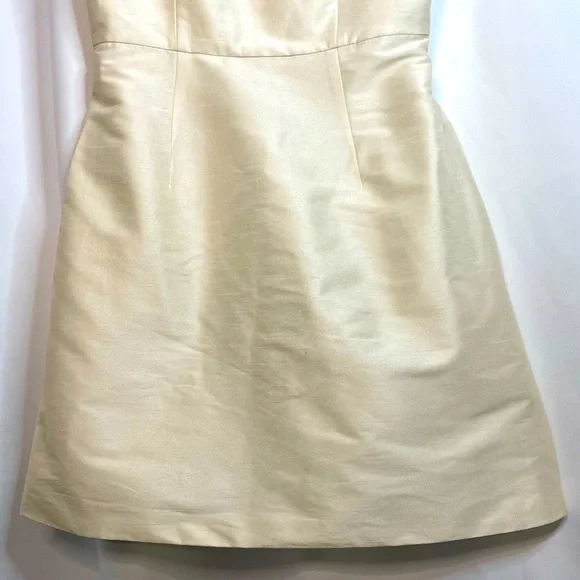NWT Sachin & Babi Ivory Rosie Dress Sleeveless v-neck sz 2 Dresses